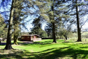 Secluded Pine Lodge 2